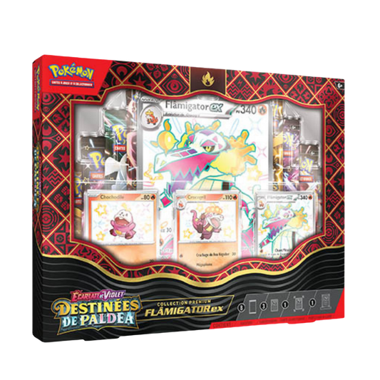 Coffret Premium Pokémon - Flamigator-ex - Destinées de Paldea - EV04.5
