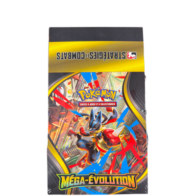 Display Kit AP - Méga-Evolution