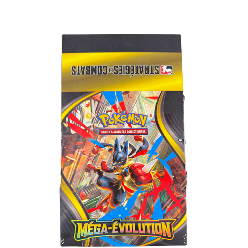 Display Kit AP - Méga-Evolution